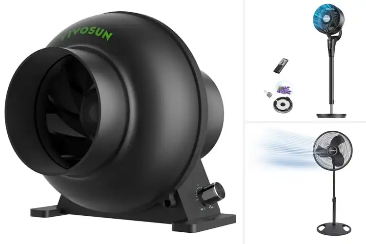 Detailed view of Best Adjustable Speed Fans