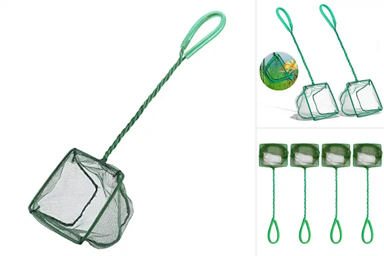 Detailed view of Best Aquarium Fish Nets: Top Picks for Safe & Easy Fish Care