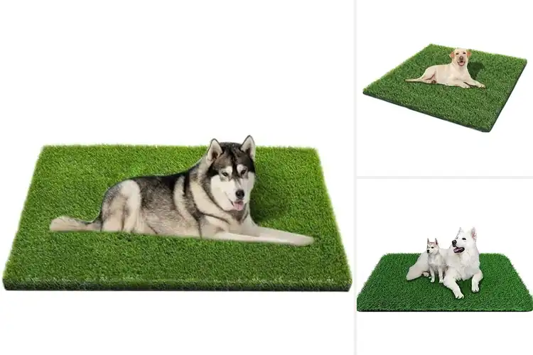 Detailed view of Best Artificial Grass Mats for Dogs