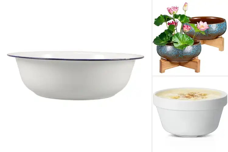 Detailed view of Best Ceramic Basins