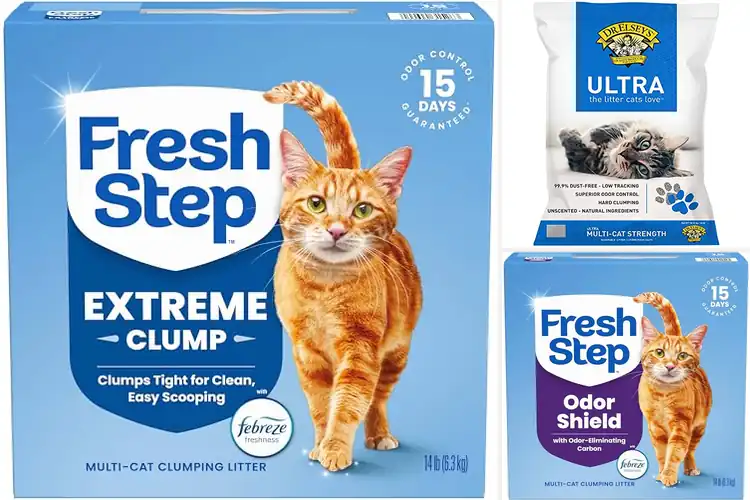 Detailed view of Best Clumping Litters