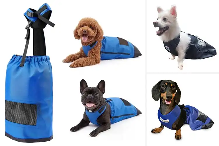 Detailed view of Best Dog Drag Bags: Your Pet’s Comfortable & Safe Move Guide