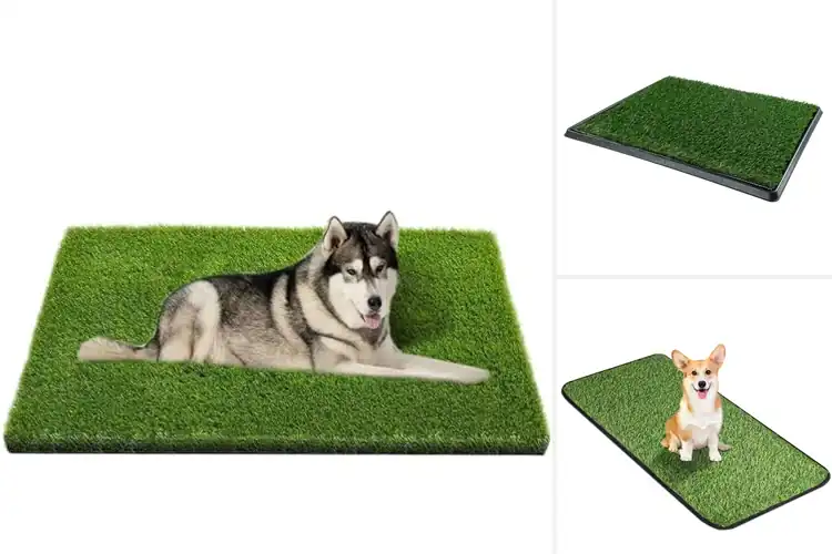 Detailed view of Best Dog Potty Grass Mats