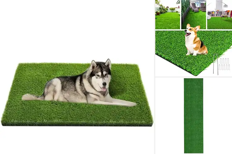 Detailed view of Best Drainage Grass Turf