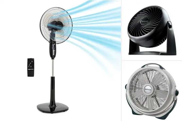 Detailed view of Best Durable Fans