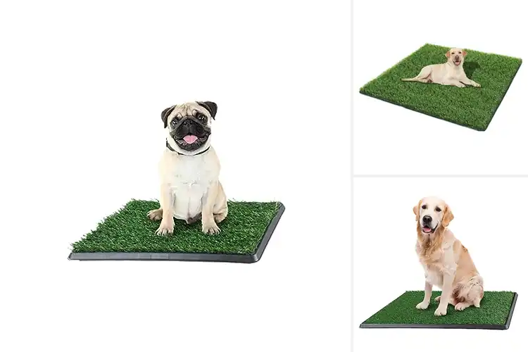 Detailed view of Best Grass Mats for Puppies: Potty Training Made Easy