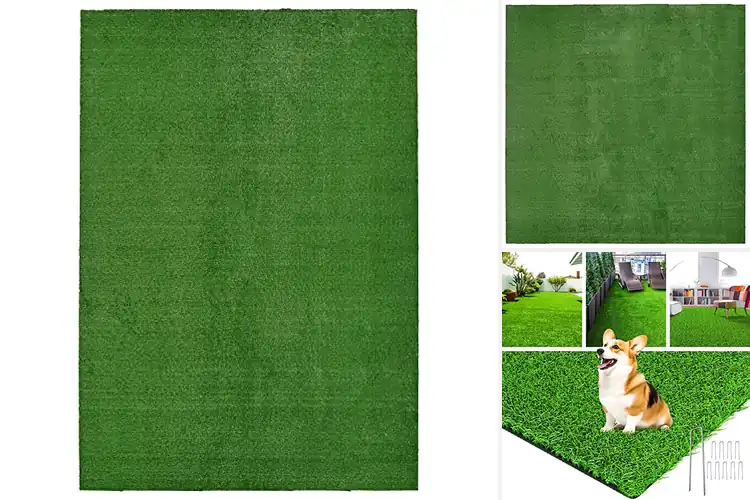 Detailed view of Best Indoor Outdoor Grass: Forever Lush, No Mow Needed
