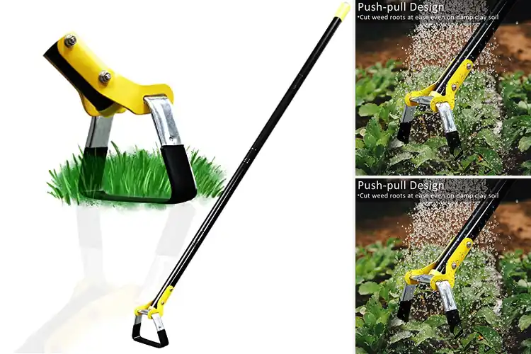 Detailed view of Best Loop Hoes for Effortless Weeding & Healthier Gardens