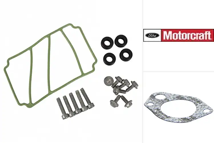 Detailed view of Best Motorcraft Gasket Replacement