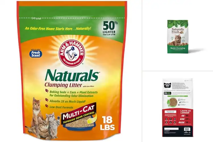 Detailed view of Best Natural Litters