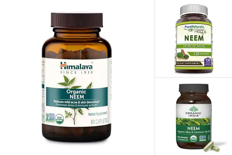 Detailed view of Best Natural Neem Supplements