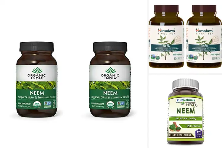 Detailed view of Best Neem Anti-Inflammatory Supplements