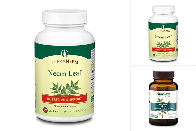 Detailed view of Best Neem Antioxidant Supplements
