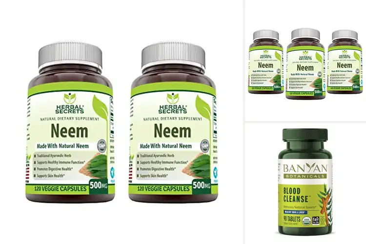 Detailed view of Best Neem Blood Purification Supplements
