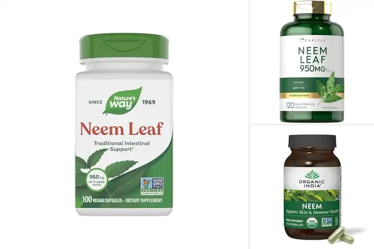 Detailed view of Best Neem Capsules: Top 10 Picks for Natural Health Boost
