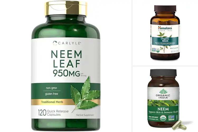 Detailed view of Best Neem Extract Supplements