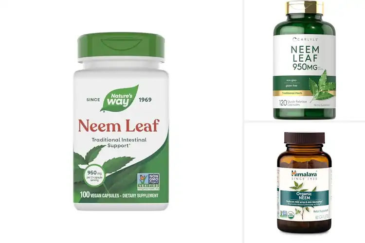 Detailed view of Best Neem Pills: Top 10 Picks for Wellness & Beauty Boost