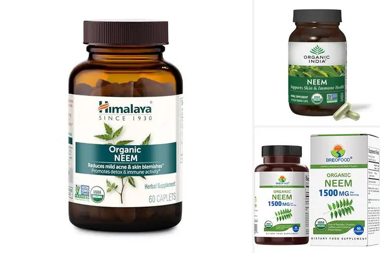 Detailed view of Best Organic Neem Supplements