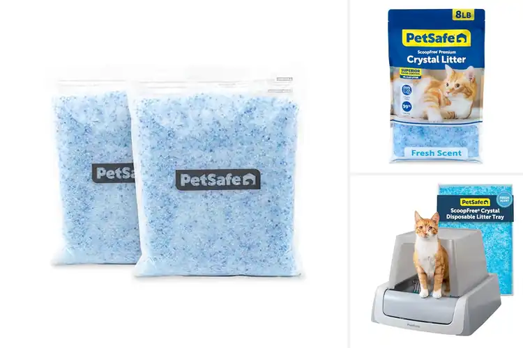Detailed view of Best Pet-Safe Litters: Top Picks for a Non-Toxic, Fresh Home