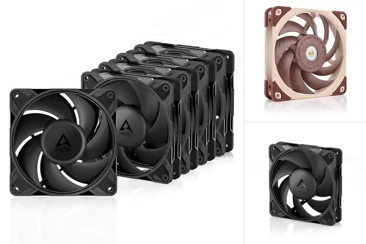 Detailed view of Best Premium Case Fans