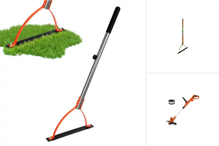 Detailed view of Best Weed Cutters